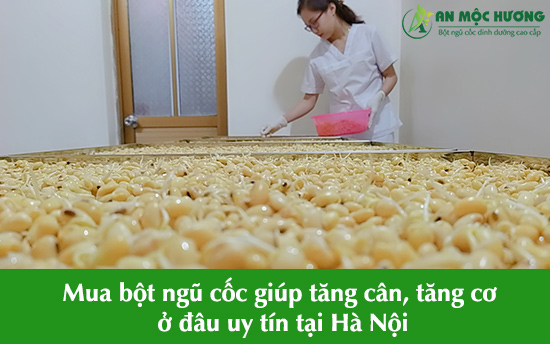 bột ngũ cốc uy tín tại Hà Nội